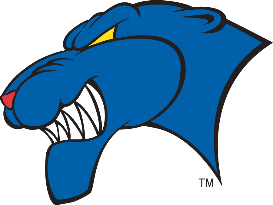 Georgia State Panthers 2002-2009 Alternate Logo diy iron on heat transfer